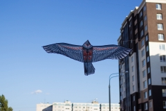 20180601-IMG_4848